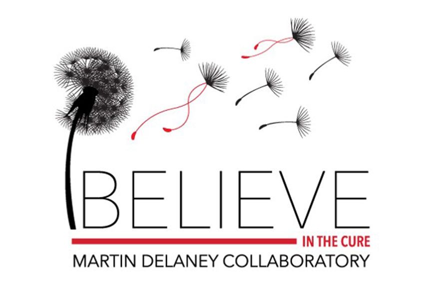 Believe in the cure Martin Delaney Collaboratory | A daffodil releasing seeds