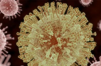 Zika Virus cells