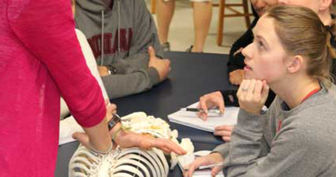 PT orthopaedic residency clinic with someone using a model of a skeleton