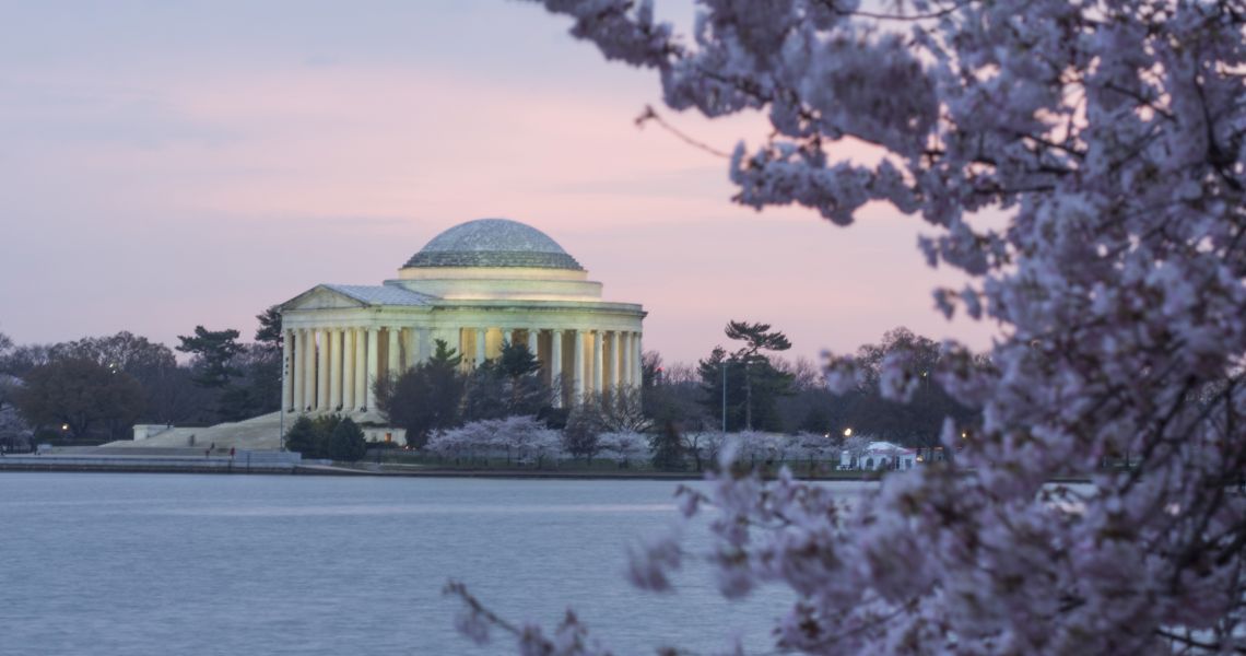 Cherry blossoms and Jefferson Memorial