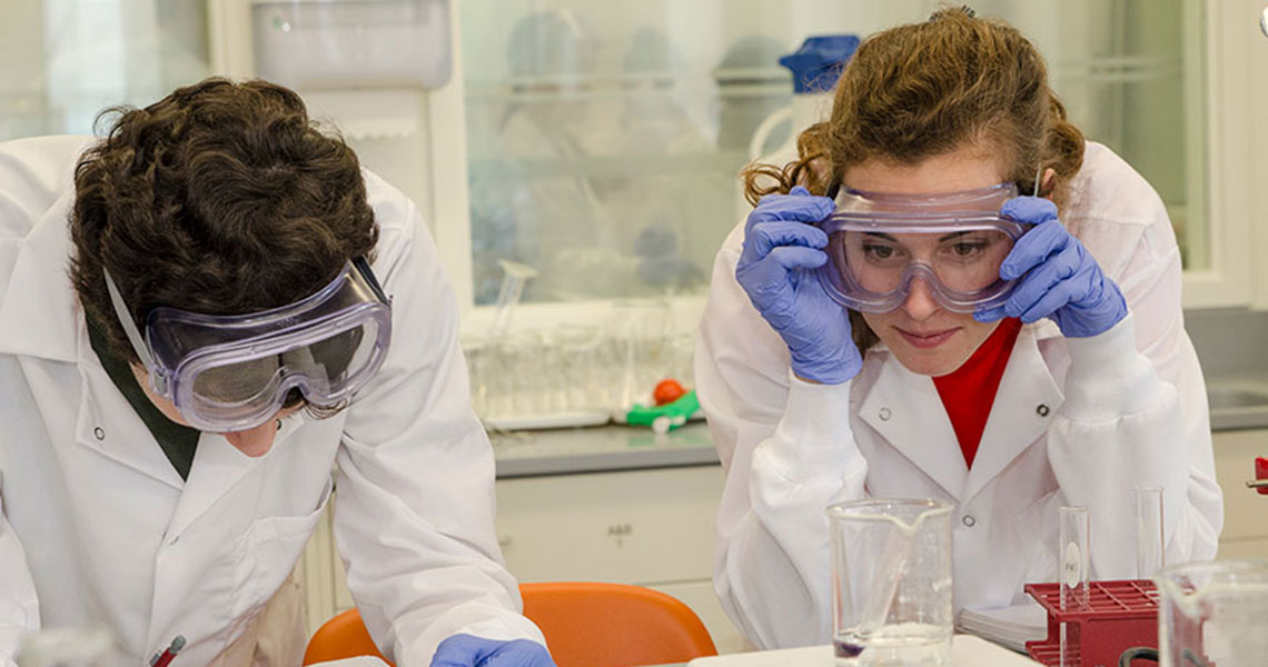 PostBaccalaureate PreMedicine Program Sets Students up for Success in