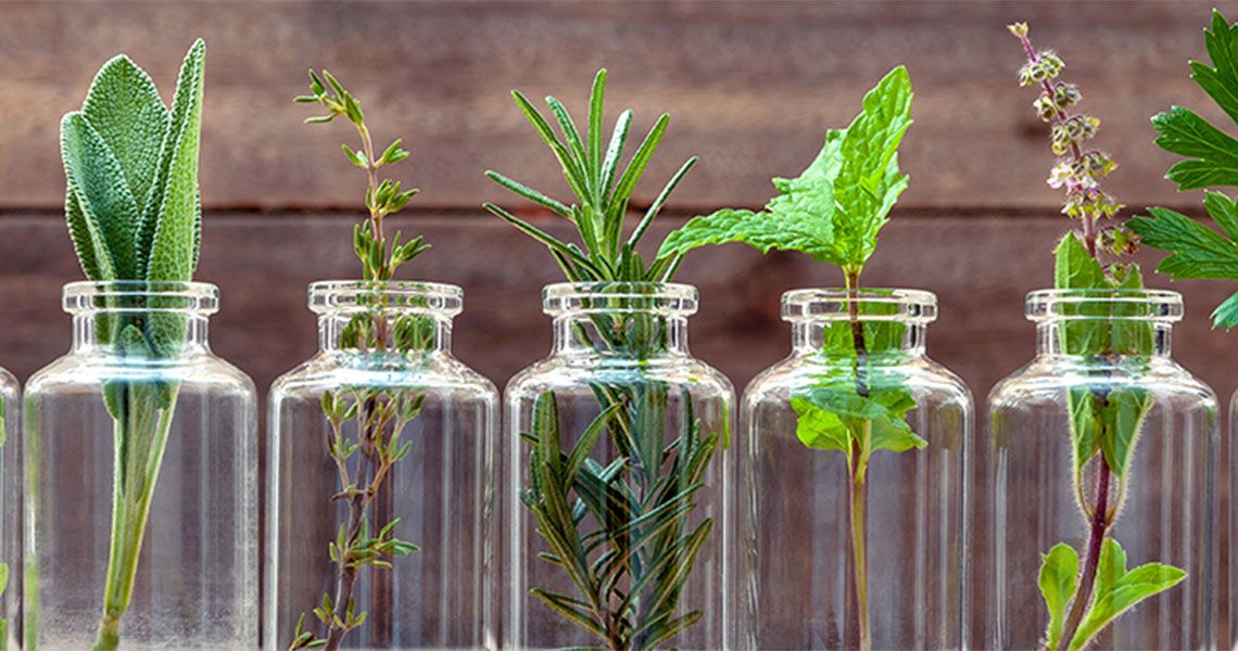 Several herbs in glass bottles