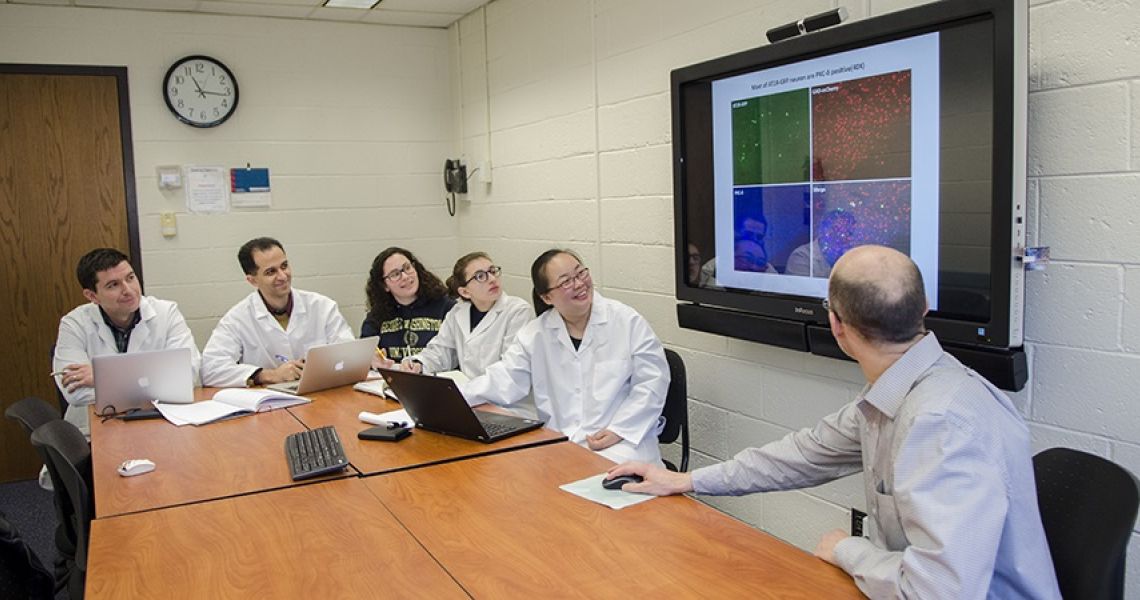 Researchers look at a presentation on a TV