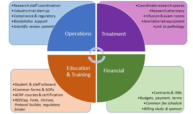 Clinical and translational research infographic