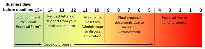 fellowship application timeline graphic