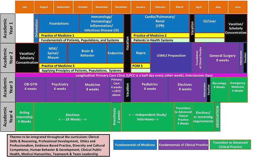 MD Curriculum Structure
