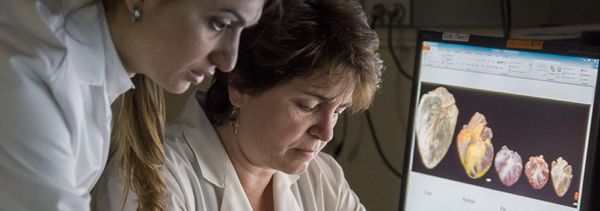 two people in a lab looking at a computer screen