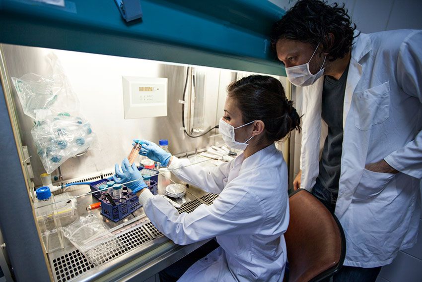 Two lab workers in white coats and masks observing a vial