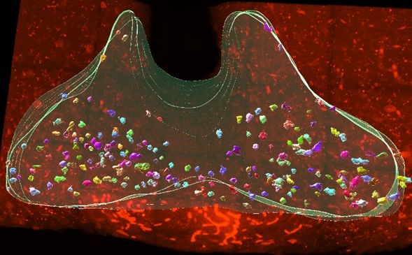 art of science noah williams