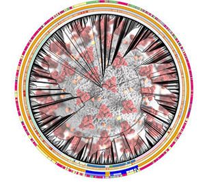 Relationships between 2,000 SARS-CoV-2 sequences in a ring