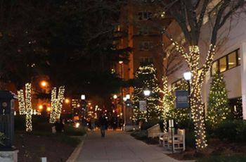 Lit-up trees near the SMHS Ross Hall courtyard