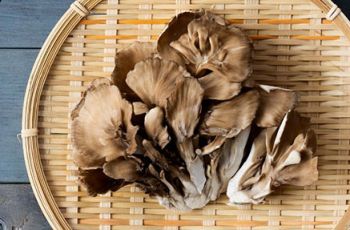 Hen of the woods mushrooms in a basket