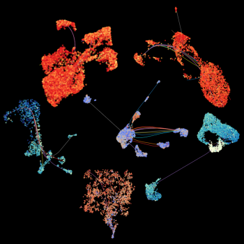 Dimensionality-reduced visualizations of six single-cell long-read RNA-seq cancer samples by Vania Ballesteros Prieto