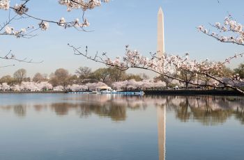 The Washington Monument and its reflection in the potomac river