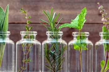 Several herbs in glass bottles