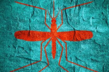 A red mosquito symbol on a blue background