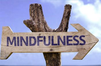 A wood arrow-shaped sign labeled "Mindfulness"