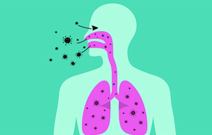 illustration of person breathing in allergens 