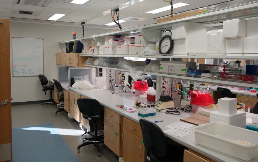 Display of the lab with tools on a desk