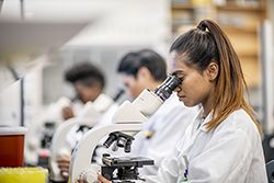 Woman in lab coat looking into microscope with two other people doing the same blurred out in the background.