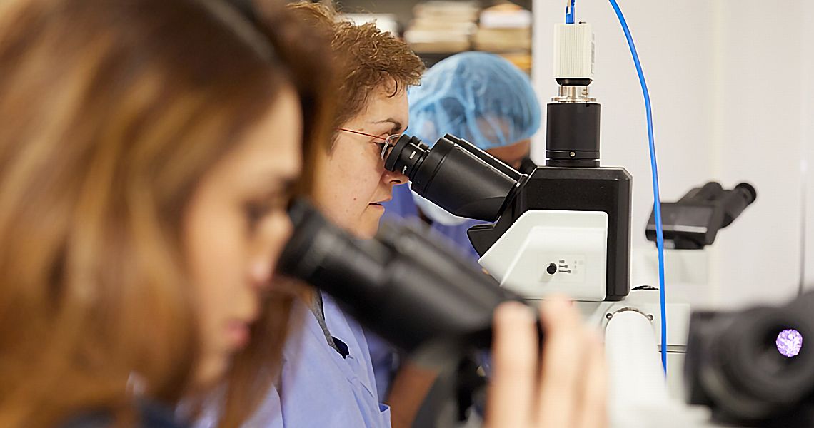 A group of lab technicians using magnifying glass