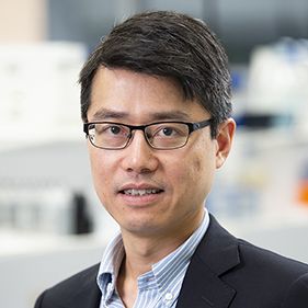 Patrick Kwan, PhD