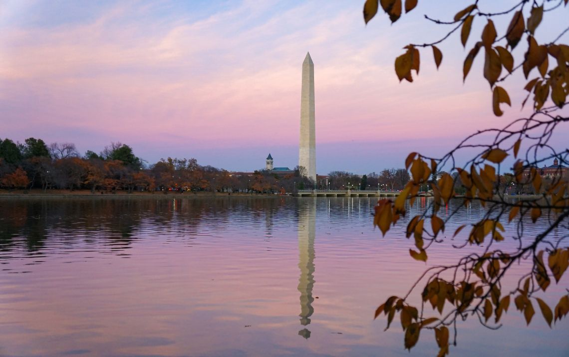 Washington Monument over the tidal basin (courtesy of Ramin Javan, MD)